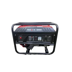 MAXI GENERATOR EM10